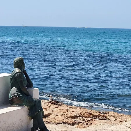 And Comfortable Torrevieja